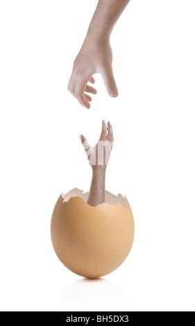 La mano che esce della rottura del guscio d'uovo isolato su sfondo bianco Foto Stock