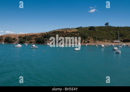 Gruppo di barche a vela ormeggiata in Isola di Waiheke, Nuova Zelanda Foto Stock