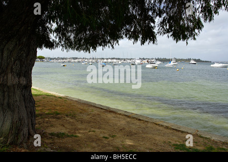 Marina a Mosman Bay nei pressi di Cottesloe in Western Australia. Foto Stock