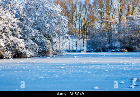 La congelati acque di un piccolo lago noto come Liden Lagoon a Swindon, Wiltshire, Inghilterra, Regno Unito adottate nel gennaio 2010 Foto Stock