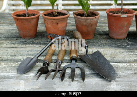 Una selezione di tradizionali utensili da giardinaggio collocato su un banco di lavoro o il tavolo di fronte a quattro vasi in terracotta Foto Stock