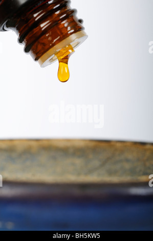 Foto di stock di una goccia di olio essenziale di essere versata in un bruciatore. Foto Stock