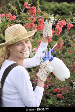 Giovane donna albero di spruzzatura Foto Stock