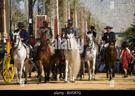 Andalusia cavallo di Jerez de la Frontera Spagna Feria Foto Stock