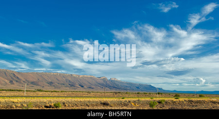 Karoo paesaggio, Sud Africa Foto Stock