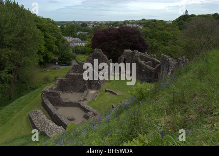 Rovine del Castello di Okehampton, Dartmoor Devon Foto Stock