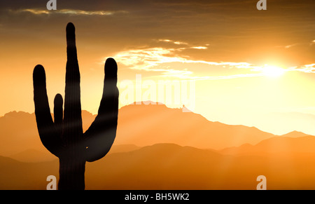 Montagne e un cactus Saguaro a sud-ovest di Tucson compresi Kitt Peak e l'Osservatorio Kitt Peak al tramonto. Foto Stock