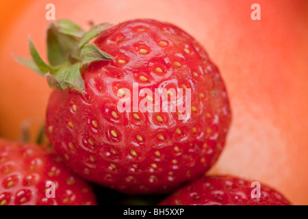 Ripresa macro di una fragola contro uno sfondo colorato. Foto Stock
