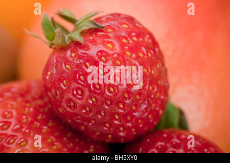 Ripresa macro di una fragola contro uno sfondo colorato. Foto Stock