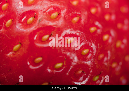 Macro estremo colpo di una fragola. Semi individuali può essere visto. Foto Stock