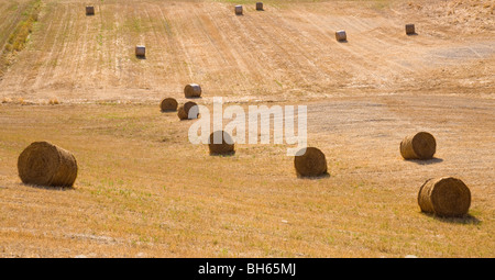 Il paesaggio toscano, balle di fieno Foto Stock