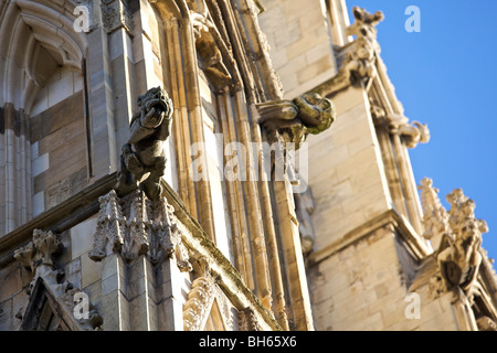 Doccioni sulla cattedrale di York Minster Abbey Regno Unito Foto Stock