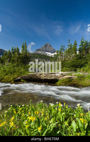 Siyeh Creek scorre accanto a Glacier Lillies al di sotto di Mt. La Reynolds su Logan pass Foto Stock