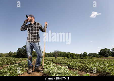 Imprenditore nel campo parlando al cellulare Foto Stock