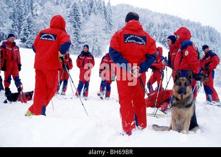 Esercizio a valanga con i cani da ricerca, il dipartimento dei vigili del fuoco di montagna del gruppo di salvataggio, HAUTE-SAVOIE (74), Francia Foto Stock