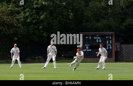 Un wicket Keeper afferra la palla come la slitta a guardare. Foto di James Boardman Foto Stock