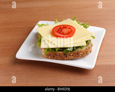 Aprire il panino al formaggio, su una piastra bianca Foto Stock