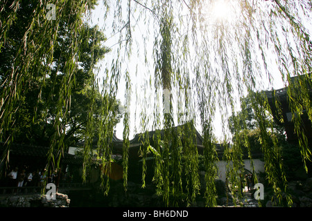 Il Giardino di Yuyuan è un famoso giardino classico situato in Anren Jie nella città di Shanghai. Foto Stock