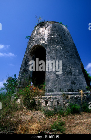 Il mulino a vento, rovina, Ironshore, Rose Hall, Montego Bay, Giamaica Foto Stock