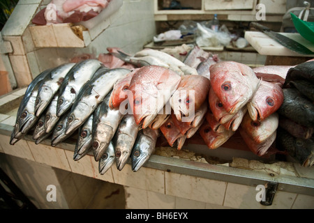 Una varietà di pesci tra cui Red Snapper impilati per la vendita sul contatore dei pesci disordinato stallo in Benito Juarez di mercato città di Oaxaca Messico Foto Stock