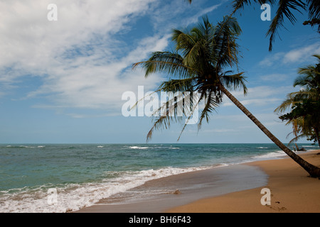 L'idilliaco paradiso spiaggia di Punta Uva vicino a Puerto Viejo de Talamanca in Limón Provincia, a sud est della Costa Rica Foto Stock