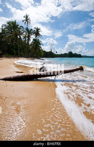 L'idilliaco paradiso spiaggia di Punta Uva vicino a Puerto Viejo de Talamanca in Limón Provincia, a sud est della Costa Rica Foto Stock