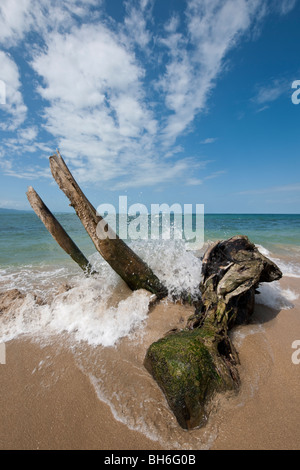 L'idilliaco paradiso spiaggia di Punta Uva vicino a Puerto Viejo de Talamanca in Limón Provincia, a sud est della Costa Rica Foto Stock