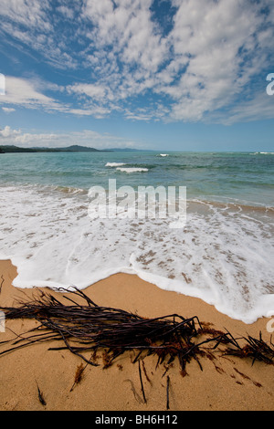 L'idilliaco paradiso spiaggia di Punta Uva vicino a Puerto Viejo de Talamanca in Limón Provincia, a sud est della Costa Rica Foto Stock