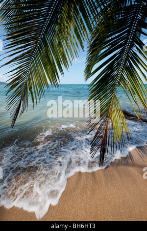 L'idilliaco paradiso spiaggia di Punta Uva vicino a Puerto Viejo de Talamanca in Limón Provincia, a sud est della Costa Rica Foto Stock