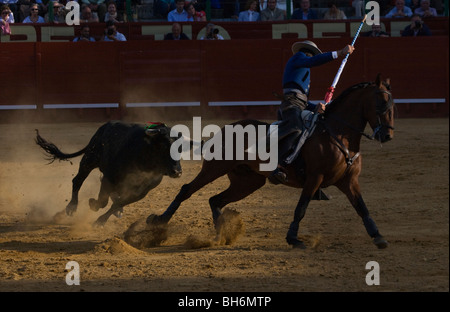 Corrida cavallo Andalusia Spagna cavallo tradizione bull Foto Stock