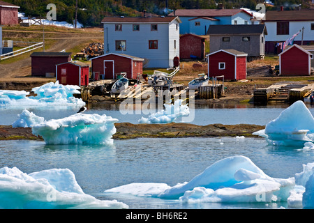 Pack di ghiaccio in conche Harbour, Conche, francese a riva, la penisola a nord, Grande Penisola Settentrionale, Viking Trail, Terranova, Cana Foto Stock