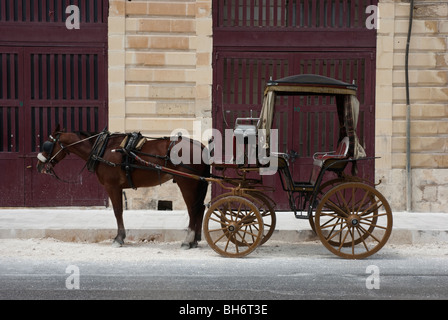 Tradizionale carro trainato da cavalli a La Valletta, Malta Foto Stock