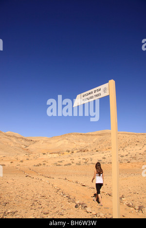 Israele, del Negev, pietrificato di alberi in un grande cratere Foto Stock