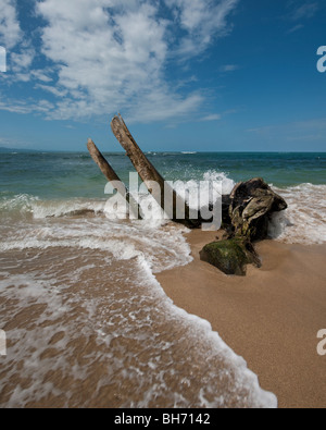 L'idilliaco paradiso spiaggia di Punta Uva vicino a Puerto Viejo de Talamanca in Limón Provincia, a sud est della Costa Rica Foto Stock