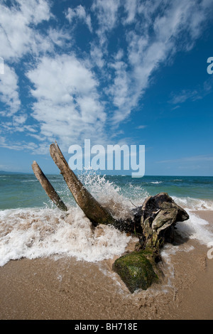 L'idilliaco paradiso spiaggia di Punta Uva vicino a Puerto Viejo de Talamanca in Limón Provincia, a sud est della Costa Rica Foto Stock