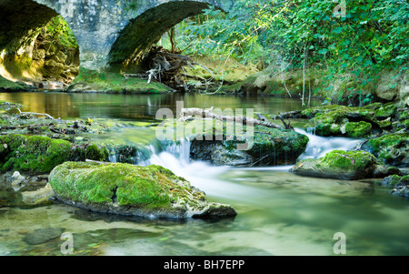 Un ruscello appartato con una piccola cascata che scorre su grandi pietre di fiume coperte di muschio, le Céou a Daglan, Perigord Noir, Dordogne, Francia. Foto Stock