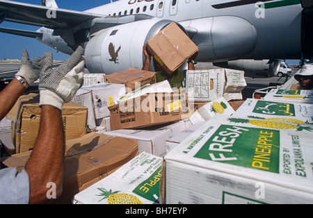 Bagaglio del Bahrein-gestori di eventi impiegata da SABTCO cargo carico sul golfo di un getto di aria a Golfo Stato del Bahrein di airport Foto Stock