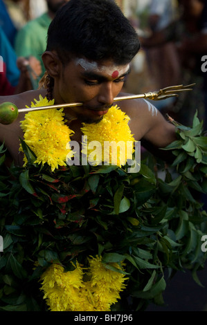 Pellegrini a thaipusam Malesia 2010 essendo posessed ,Thaipusam è un festival indù celebrata principalmente dalla comunità Tamil Foto Stock