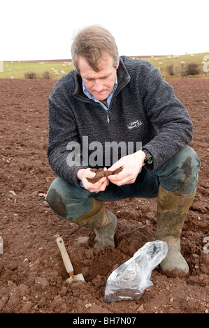 Allevatore prendendo campioni di terreno al di fuori del campo arato. Foto Stock