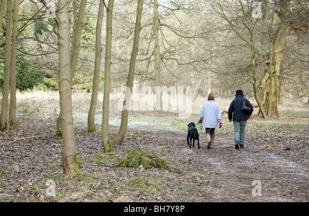 Due donne che prendono il cane per una passeggiata, Thetford Forest, Norfolk, Regno Unito Foto Stock