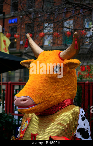 L'anno del bue - Capodanno cinese nel febbraio 2009, a Manchester dove vi è una grande comunità cinese. Foto Stock