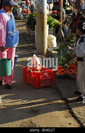 Ecuador, Saquisili, ragazzo giocando al traino di sua sorella bambino seduto in un rosso cassa in plastica Foto Stock