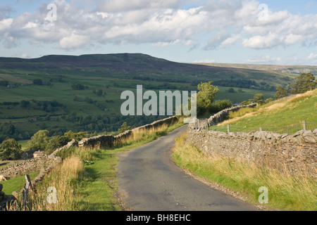 Una stretta strada di campagna attraverso Swaledale, Yorkshire Dales National Park Foto Stock