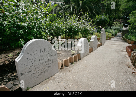 La lapide di un marinaio in Trafalgar cimitero di Gibilterra, Inghilterra del piccolo territorio nel Mediterraneo. Foto Stock