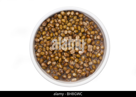 Piatto pieno di cuocere i fagioli mung in acqua Foto Stock