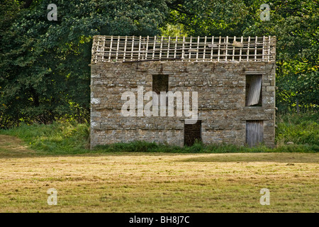 Fienile con il suo tetto in lastricato strappato. Wensleydale. Foto Stock