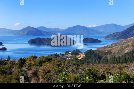 Costa frastagliata di Marlborough Sounds vicino alla baia di francese e di Nelson, Isola del Sud della Nuova Zelanda Foto Stock