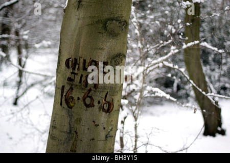 Gli amanti dei nomi incisi su un albero in Queen's legno, Highgate Foto Stock