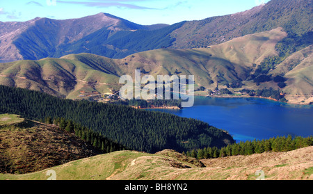 Costa frastagliata di Marlborough Sounds vicino alla baia di francese e di Nelson, Isola del Sud della Nuova Zelanda Foto Stock