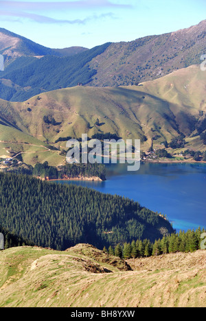 Costa frastagliata di Marlborough Sounds vicino alla baia di francese e di Nelson, Isola del Sud della Nuova Zelanda Foto Stock